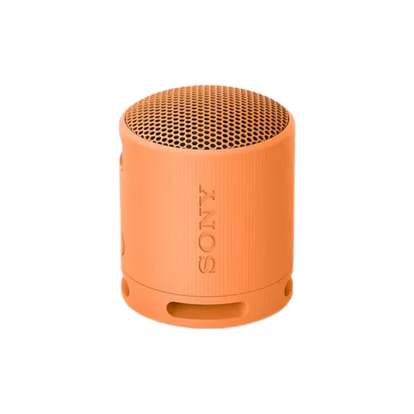 Loa Bluetooth Sony XB100